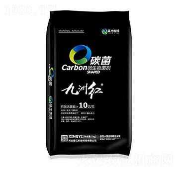 ̼��΢�������-���޼t-�ǃ|�r(n��ng)�I(y��)