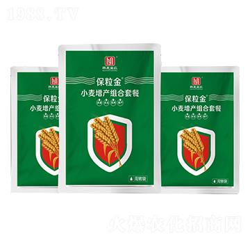 С�����a�M���ײ�-������-�n�����r