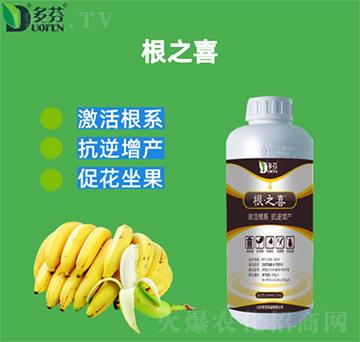 ��֮ϲ-����r(n��ng)�I(y��)