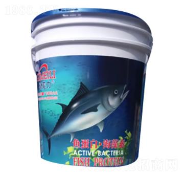 �~(y��)���ס�������-�G�����ʘI(y��)