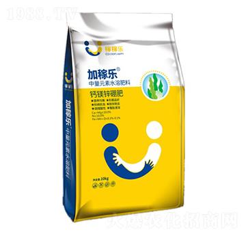 �}�V���\��-�ڼژ�(l��)