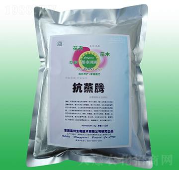 ���v���Ƅ�-��������