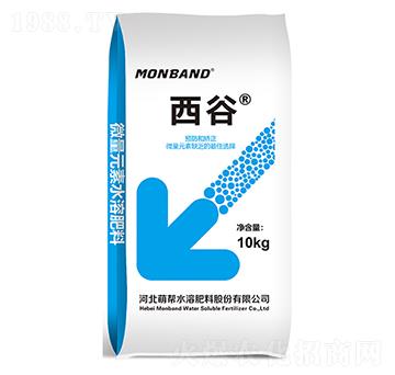 ����-�Ȏ�