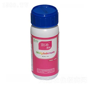 Һ�f-���a-ïʩ