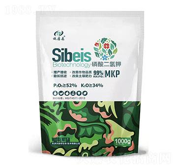 ��������-��ɭ��