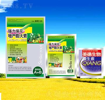 �������a(ch��n)�����-������