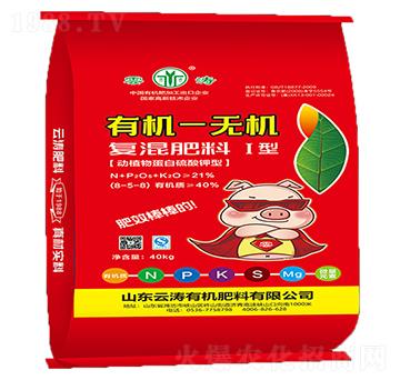 �ЙC(j��)-�o�C(j��)��(f��)�����8-5-8-�Ɲ�