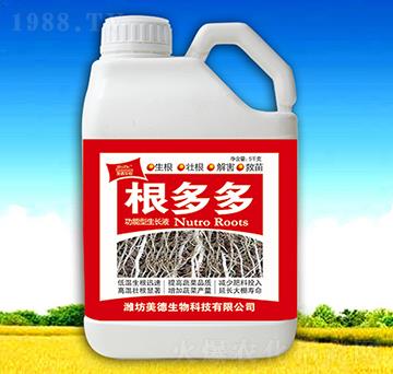 �����-��������