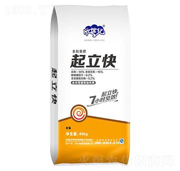 ��������ĵ���-�����o