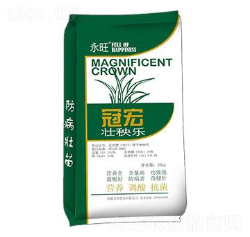 ���혷-�ں�-�����ʘI(y��)