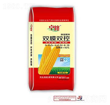 �pĤ�p�ؓ������24-