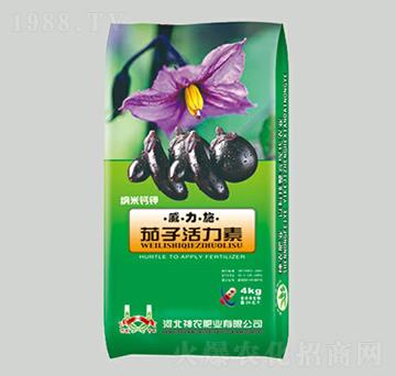 ���ӻ�����-����ʩ-��