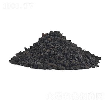 �S������w��-�𺣵|