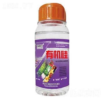 �ЙC(j��)�裨ƿ��-��������