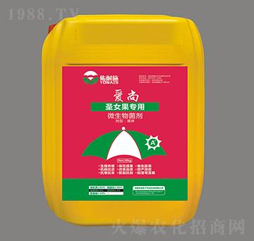 ʥŮ������΢�������-��(��i)�С�����ʩ-�϶�a(ch��n)