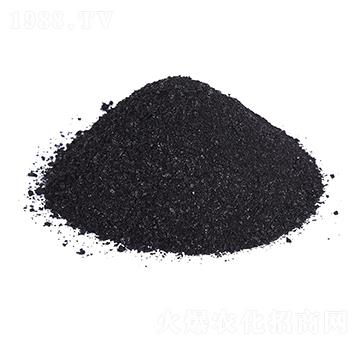 �VԴ�S�����-�𺣵|