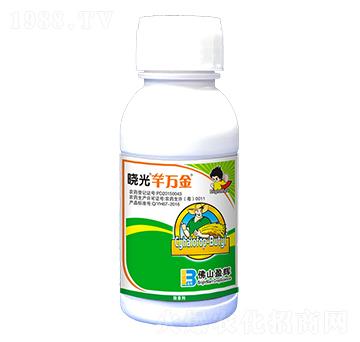 10%�������-�Թ�ܷ�f��-ӯ�x