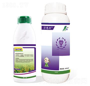 46%���ס������-����ͪ-ɯ�[��-����