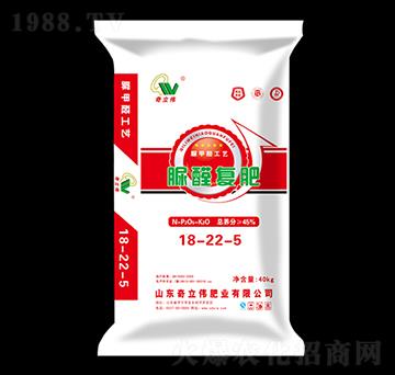 ��ȩ�ͷ�18-22-5