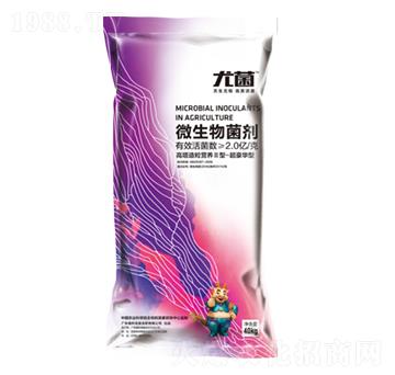 40kg΢�������-��