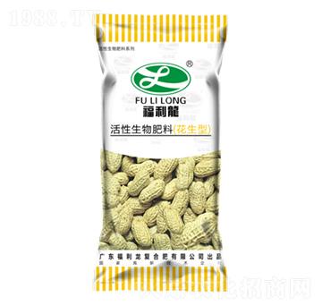 ����������ϣ������ͣ�