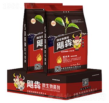 ΢�������-�Z��-�з�