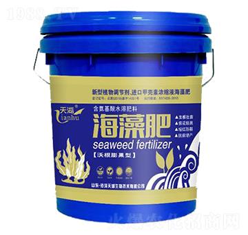 ����ʣ��ָ�����ͣ�-���