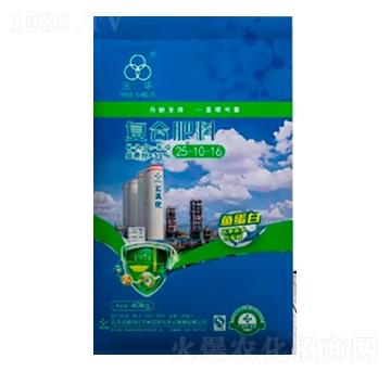 �ͺϷ���25-10-16-ʩ�׵�