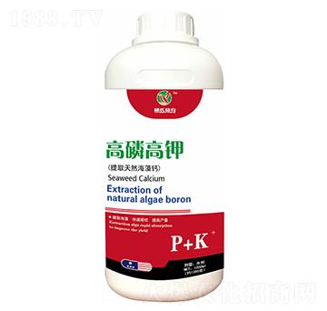 ���׸��-���r�r�I(y��)