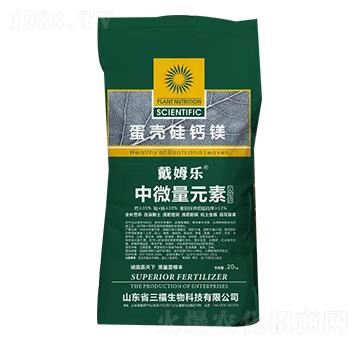 �������}�V-��ķ��(l��)-��������