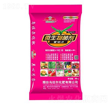 ΢�������-������-������