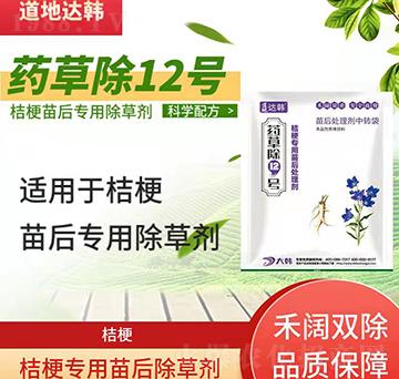 �۹����݄�-�۹����-�۹��(zhu��n)��-ˎ�ݳ�12̖(h��o)-���n