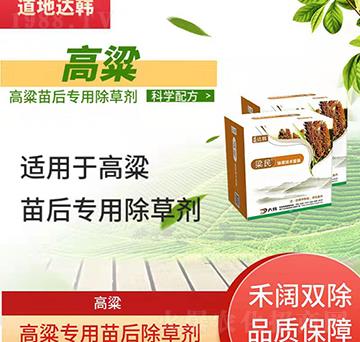 �������݄�-�������-