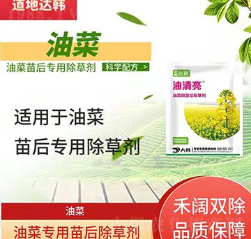 �Ͳ˳��݄�-�Ͳ����-