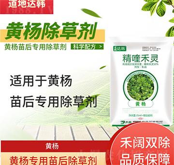 �S����݄�-�S�����-