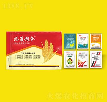 ����I�B(y��ng)��Q����-����