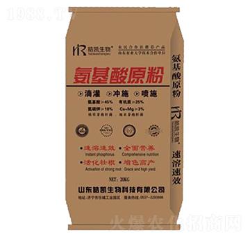 ������ԭ��-�P����