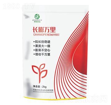 �L(zh��ng)���f�����-�п��r(n��ng)�I(y��)