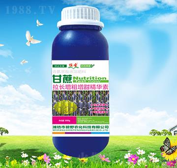 �������L(zh��ng)���������A��