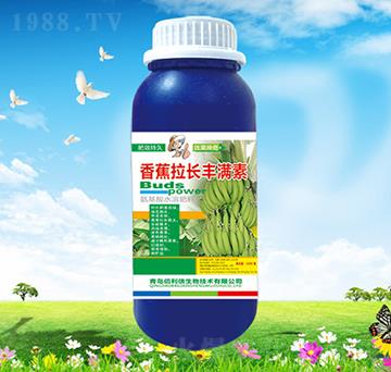 �㽶���L(zh��ng)�S�M��-��Ұ�r(n��ng)