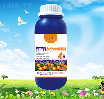 �̽���ɫ������-ֲʥ-