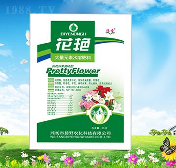 �������������ʹ���Ԫ��