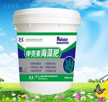 �ך��غ����-ֲʥ-��