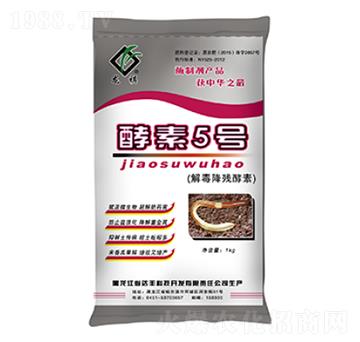 �ⶾ��������-����5̖(h��o)-�_(d��)�S