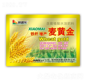 �F�U���a(ch��n)���S��-���ɷ�