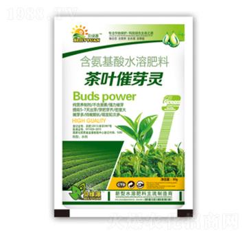 ���~��ѿ�`-���ɷʘI(y��)