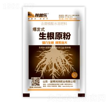 ���l(f��)ʽ����ԭ��-���՘�