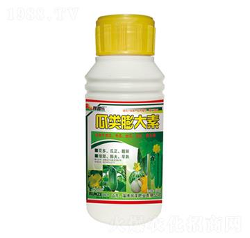 ��������-���՘�-��