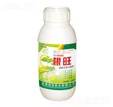 �����~���-���՘�-��