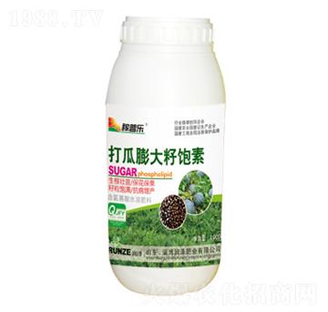 �����������-���՘�